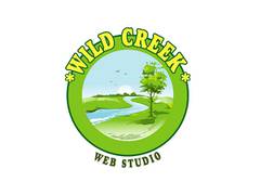 
      
      Wild Creek Web Studio revolutionizes the digital turf of business
      
      