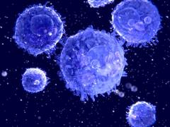 
      
      Scientists discover fine-tuning gene expression during stress...
      
      