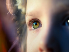 
      
      Routine eye scans may give clues to cognitive decline in diabetes
      
      