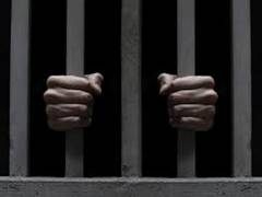 
      
      Israeli security forces capture last 'two terrorists' who...
      
      