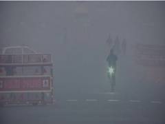 
     Delhi gasps for clean air, AQI remains in 'very poor' category
    