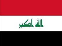 
      
      ExxonMobil evacuates 30 foreign engineers from Iraqi oil field
      
      