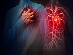 
      
      AI can predict when someone will have cardiac arrest: Study
      
      