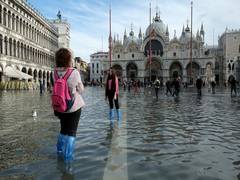 
      
      St. Mark's Square in Venice reopens after flooding
      
      