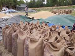 
      
      How India achieved USD 50 billion export target in agriculture?
      
      