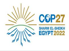 
      
      Bonn climate change conference next week to set tone for COP27 
      
      