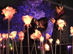 
      
      Yokohama city organises night festival
      
      
