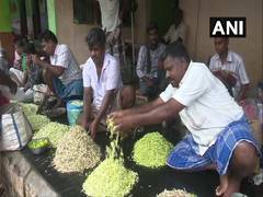 
      
      Jasmine prices soar across Tamil Nadu markets 
      
      