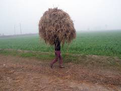 
      
      UP: As Bareilly goes to polls tomorrow, small scale...
      
      