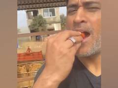 
      
      MS Dhoni binges on strawberry, says 'there won't be any left...
      
      