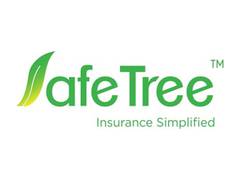 
      
      Safetree Survey: Over 50 per cent of MSME believe Group Mediclaim
      
      