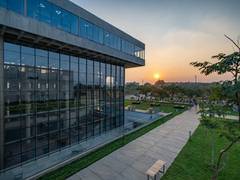 
      
      Woxsen University tops the chart in latest PIR at Global level
      
      