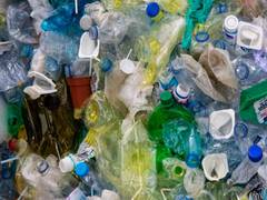 
      
      Study finds cow's stomach microbes break down plastic
      
      