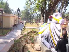 
      
      Beautification work at Devika River in J-K's Udhampur to...
      
      