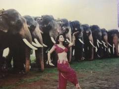 
      
      Dancing with tuskers on 'Jiya Jale': Preity Zinta's favourite...
      
      