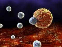 
      
      Investigators ID gene critical to human immune response
      
      