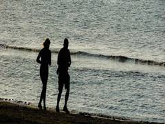 
      
      Couples can show linked behaviour in terms of risk factors to...
      
      