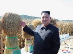 
      
      Kim Jong-un makes first public appearance since breakdown of...
      
      