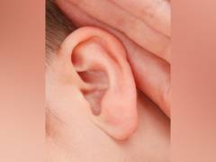 
      
      Scientists develop new gene therapy for deafness
      
      
