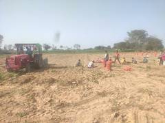 
      
      Ahead of Phase 3 UP Assembly polls, potato farmers say...
      
      