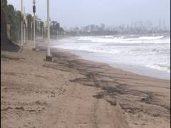 
      
      Sand at Mumbai's Juhu Beach turns black following oil spill
      
      