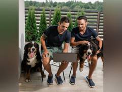 
      
      Male dogs are four times more likely develop infectious cancer
      
      