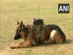 
      
      Army develops gadget for dog soldiers for getting info about...
      
      