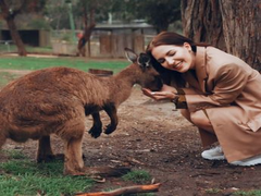 
    Research says, Kangaroos can communicate with humans
    