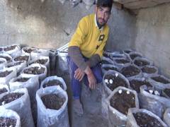 
      
      Young farmer from J-K's Rajouri wins award for organic...
      
      