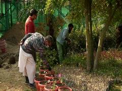 
      
      Gardening enthusiasts flock to Srinagar centre to purchase...
      
      