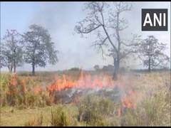 
      
      Kaziranga National Park carries out controlled burning of forest
      
      