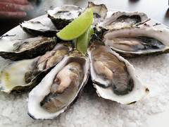 
    Rule of eating oysters in months with 'r' is 4,000-years-old: Study
    