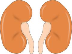 
      
      'Patient activation' may improve quality of life in...
      
      