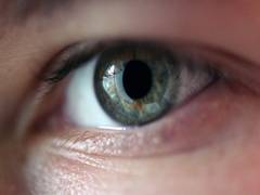 
      
      Researchers reveal detailed genetic roadmap of glaucoma
      
      