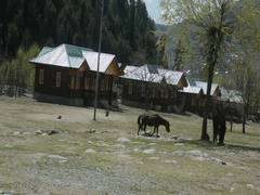 
      
      J-K admin begins constructing infrastructure in Kokernag to...
      
      