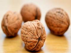 
      
      Study: Consume walnut regularly to diminish negative results...
      
      