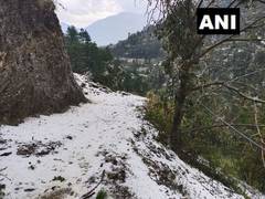 
      
      Heavy hailstorm damages crops in Kullu valley
      
      