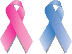 
      
      Study claims that bowel cancer screening reduces deaths
      
      