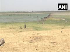 
      
      MP: With Bhojtal on the verge of drying up, mayor demands...
      
      