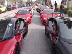 
      
      Owners have great fun as they drive 50 Lamborghinis from...
      
      