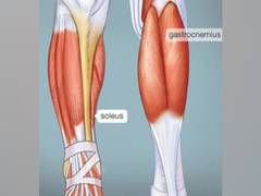 
      
      Damaged muscles don't just die, they regenerate themselves
      
      