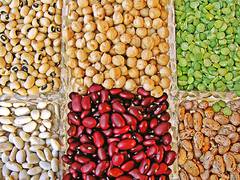 
      
      Study uncovers clues on evolution, diversification of legumes
      
      