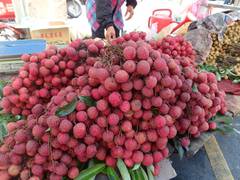 
      
      After encephalitis deaths, Odisha orders testing of litchi fruit
      
      