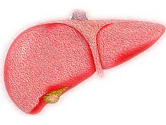 
      
      Highly accurate non-invasive major liver diseases test discovered
      
      