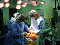 
      
      Discovery of new liver cells can make liver transplants redundant
      
      