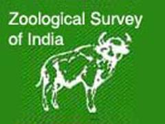 
      
      Animals the worst-sufferers of land degradation: Director, ZSI
      
      
