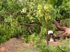 
      
      Rain, thunderstorm cause extensive damage in AP's Krishna district
      
      