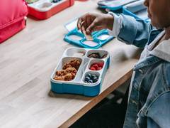 
    Free, nutritious school lunches help create richer and healthier adults: Study
    