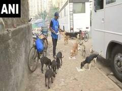 
      
      Mumbai man feeds street dogs amid coronavirus lockdown 
      
      