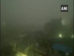 
      
      People enjoy fog, light rains in Maharashtra's Nashik
      
      